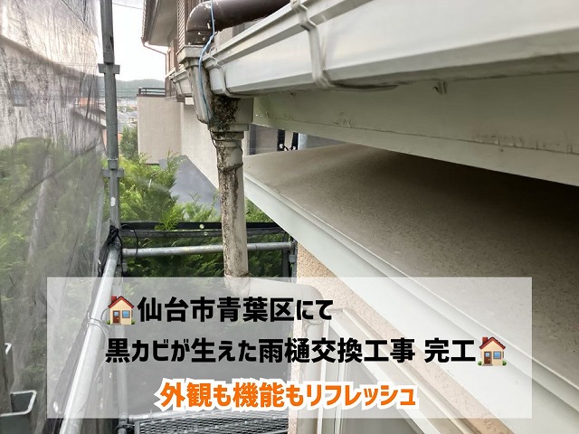 仙台市青葉区で黒カビが生えた雨樋の交換工事完工！外観も機能もリフレッシュ！